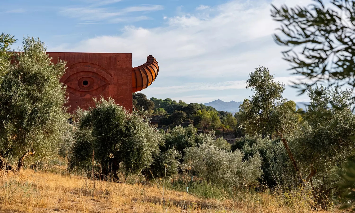 Entradas al Museo del AOVE con visita al olivar y cata de aceites