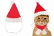 Dog Cat Santa Hat with Scarf Christmas Pet Outfit Adjustable Pet Costume Set - Second Medium