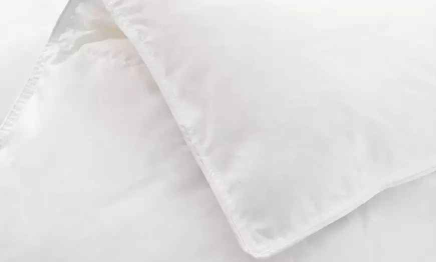 Image 3: Couette 100% plumes de haute qualité