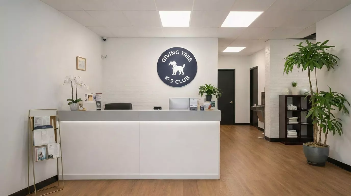 Care Your Pups with 1 or 3 Full Days of Day Care or Nights of Boarding