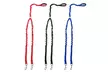 Waloo Pets Double Dog Bungee Dog Leash- Black,Red or Blue - Second Medium