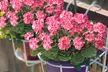 2 Pcs Artificial Geraniums Silk Flowers Faux Flowers Outdoor Plant Bush - Second Medium