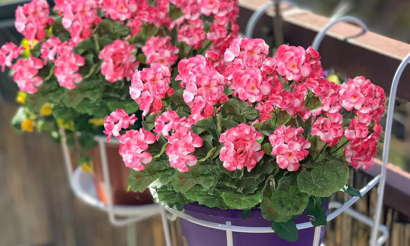 2 Pcs Artificial Geraniums Silk Flowers Faux Flowers Outdoor Plant Bush