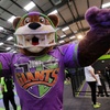 Image 1: Kids Digger Party at Jump Giants Leicester - Private Room & Food