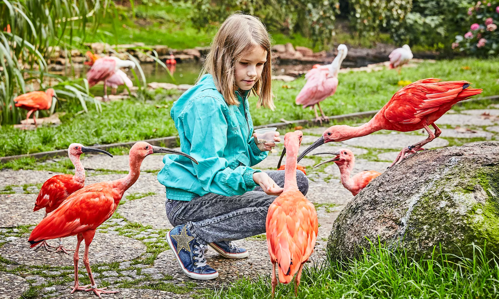 Saisonkarte Gold Weltvogelpark Walsrode