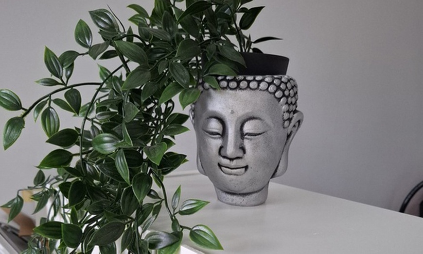 Image 6: Lifting y tinte de pestañas con opción a diseño y depilación de cejas