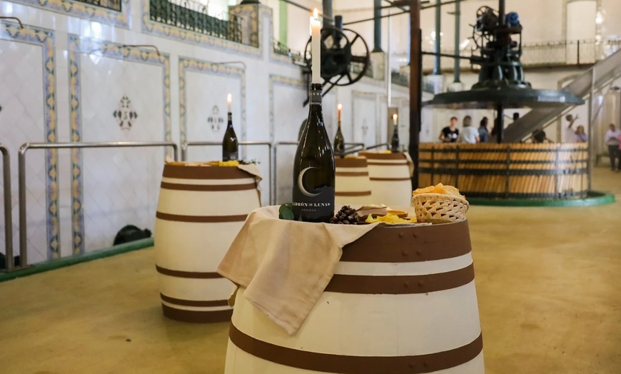 Image 6: Visita a una bodega, cata de vinos, vermut de bienvenida y aperitivo
