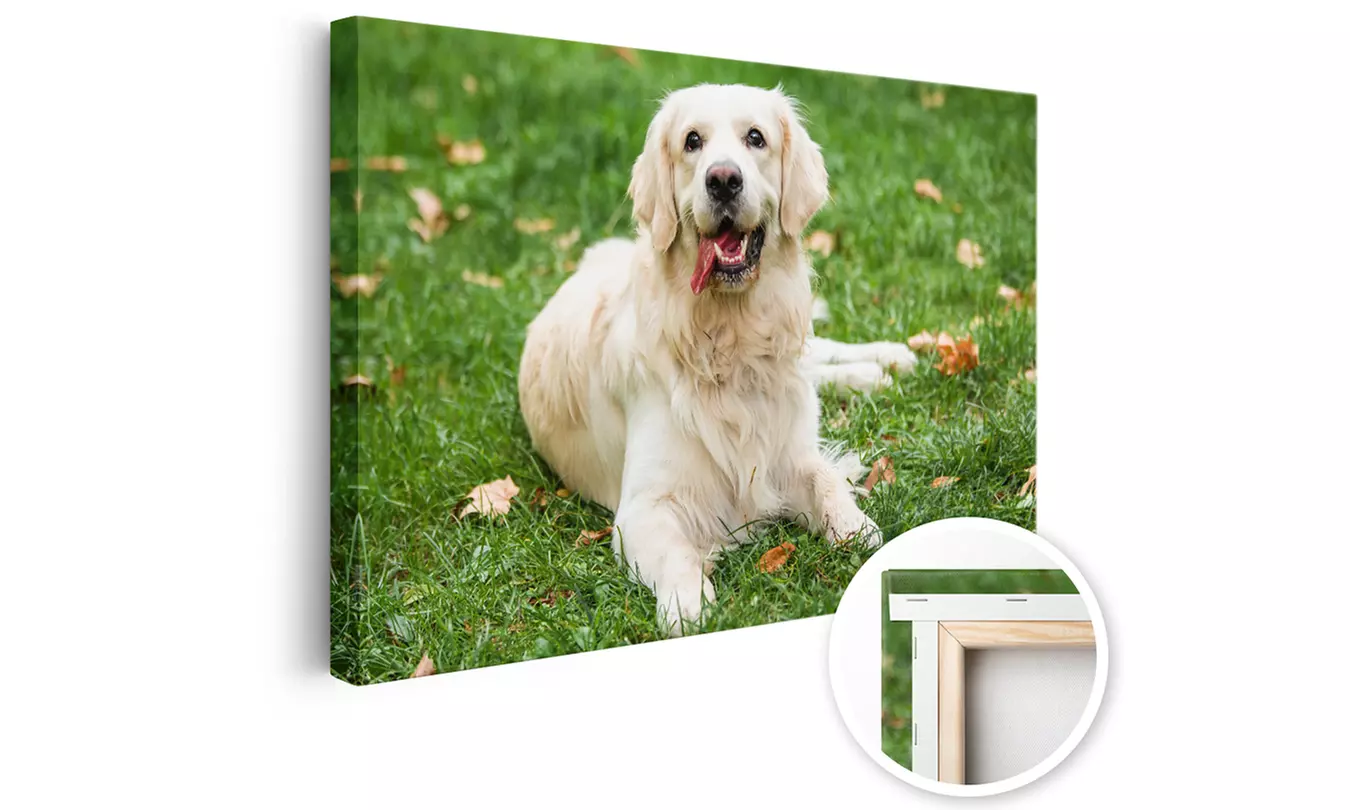 Foto-Leinwand in deiner Wunschgröße