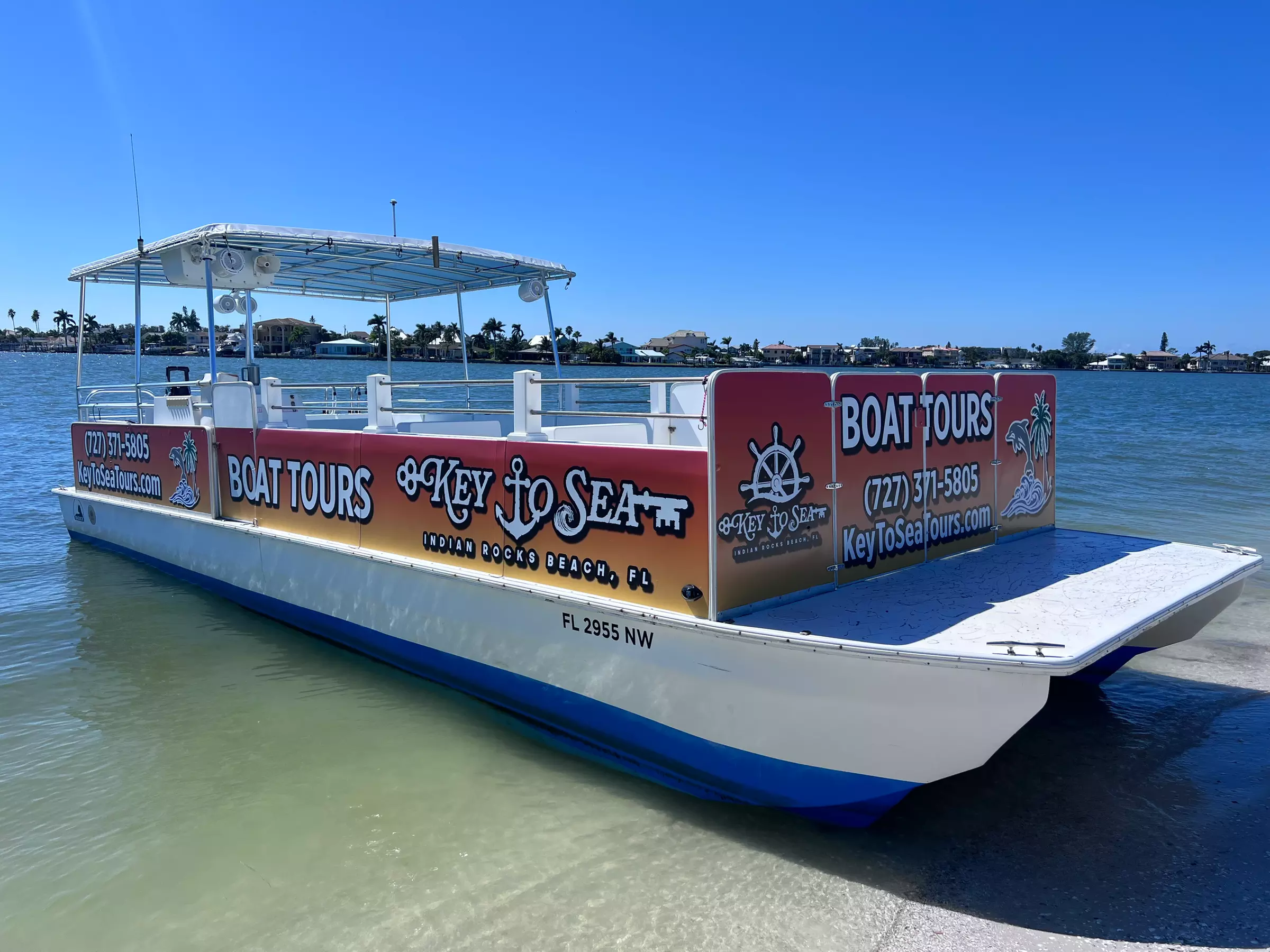 2-Hour Dolphin or Picturesque Sunset Cruise in Indian Rocks Beach