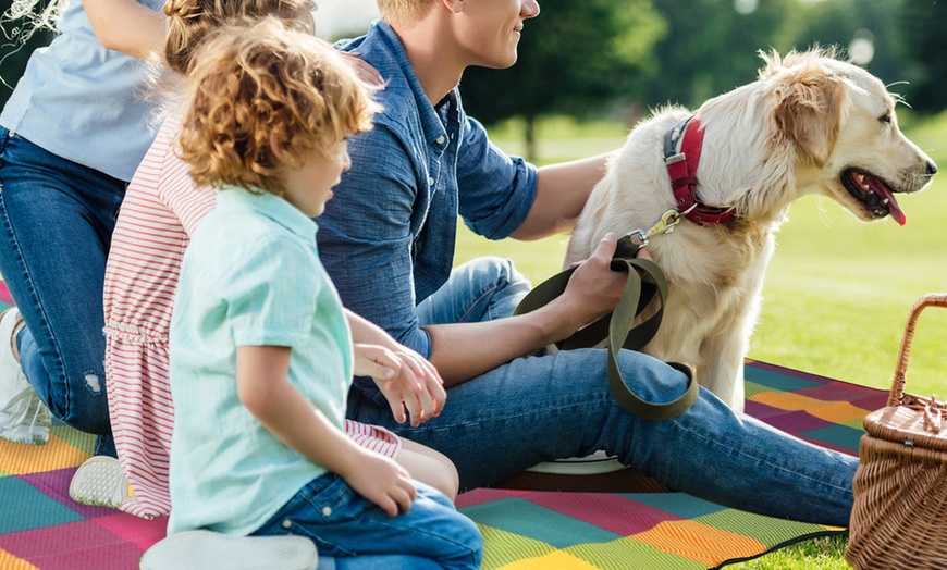 Image 9: Folding Picnic Rug Mat with Carry Handle