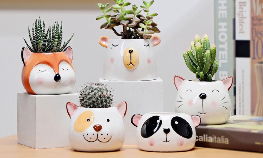 Image 3: Animal-themed Planter Pots