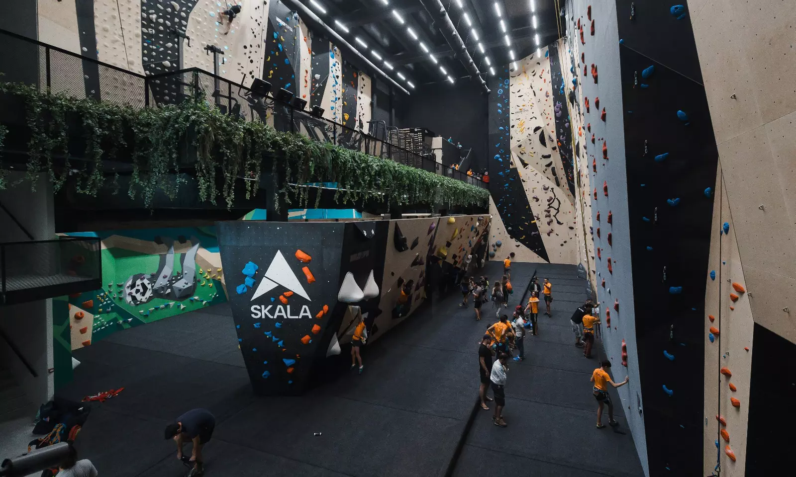 Acceso libre al rocódromo para 1 niño, 1 adulto o 2 adultos con hasta un 37% de descuento - Primary Image