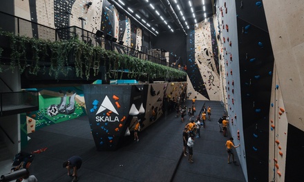 Para 1 niño: Acceso libre al rocódromo - SKALA
