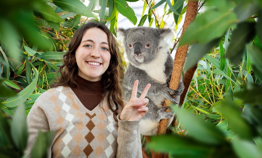 Image 5: Visit any 3 Top Attractions: Sea Life Sydney, Madame Tussauds & More