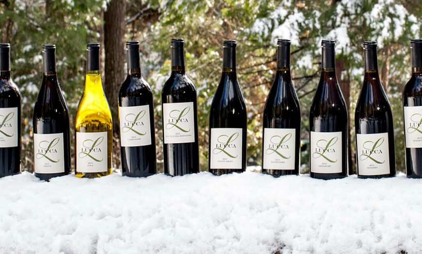 Image 7: Get a Wine Tasting Experience for Two, Four, or Six & Bottle Credits