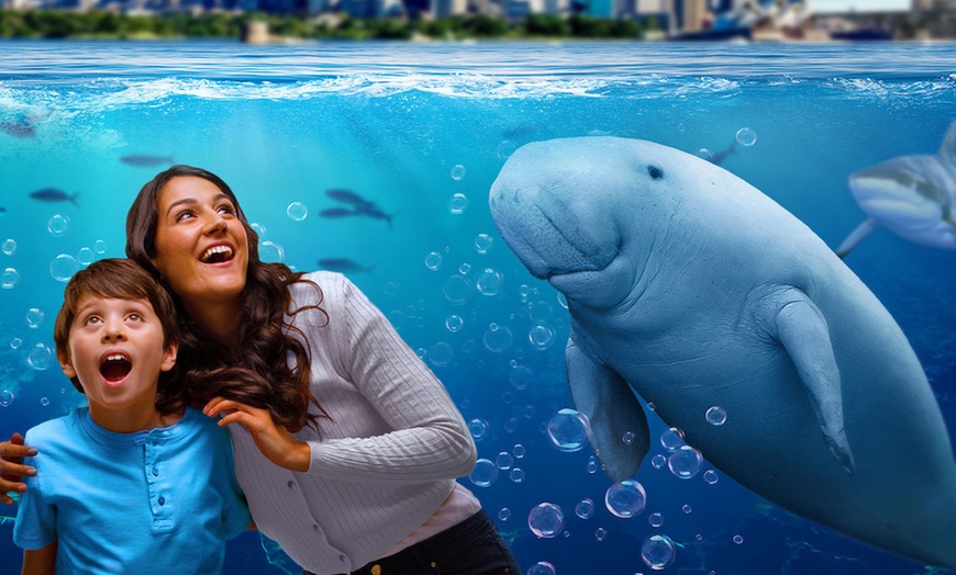 Image 3: Visit Madame Tussauds or More and SEA LIFE Sydney with Combo Passes