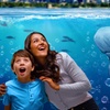 Image 3: Visit Madame Tussauds or More and SEA LIFE Sydney with Combo Passes