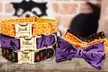 Personalisierbares Haustier-Halsband im Halloween-Design (80% sparen) - Image 6