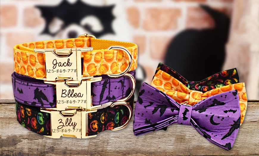 Image 6: Personalisierbares Haustier-Halsband im Halloween-Design