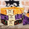 Image 6: Personalisierbares Haustier-Halsband im Halloween-Design