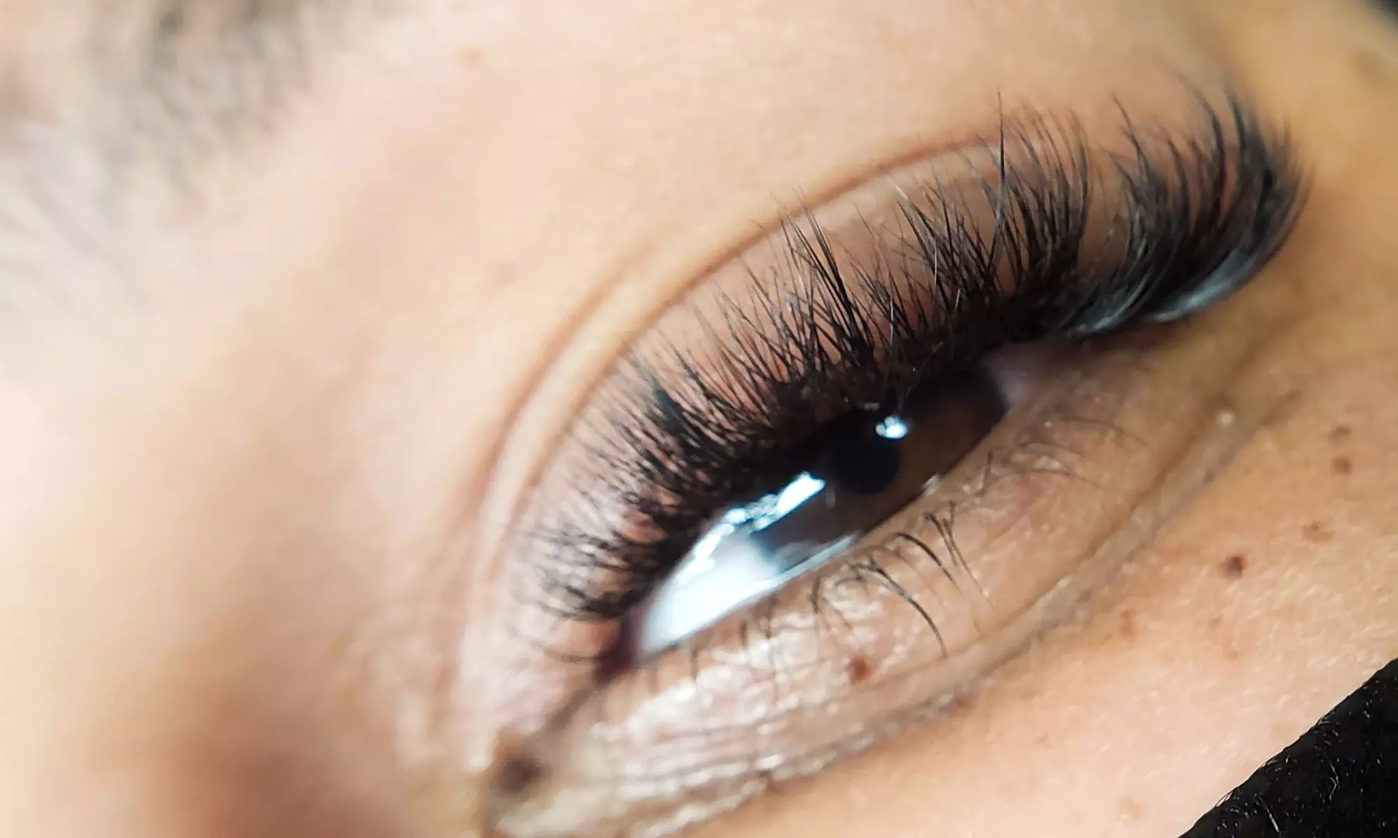Classic, Hybrid, Volume Individual Lashes Or Lash Lift with Tint Combo