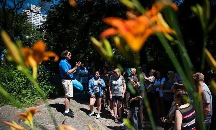 Image 5: Award-Winning NYC Sightseeing Bus Tour