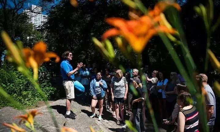 Award-Winning NYC Sightseeing Bus Tour