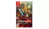 Nintendo Switch Hyrule Warriors: Age of Calamity 