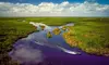 Explore Everglades Adventure w/ Night One Hour Tour for 4, 5, 6, 7 or 8 People @Gator Airboat (Up to 20%Off)

