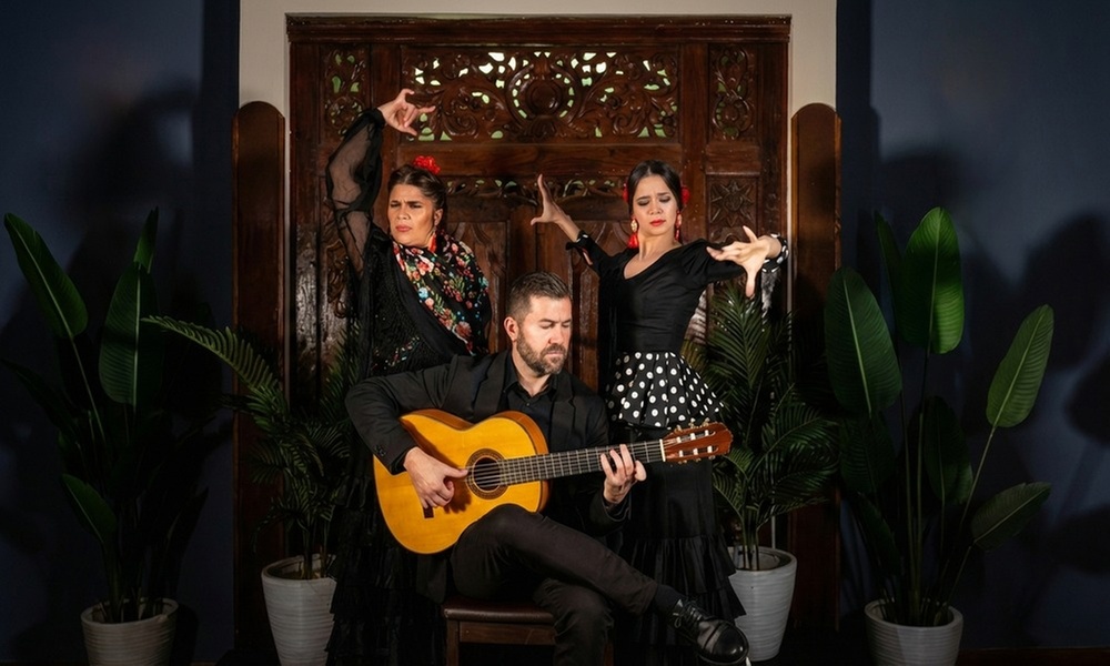 Entrada a espectáculo de flamenco con opción a bebida para 1 persona