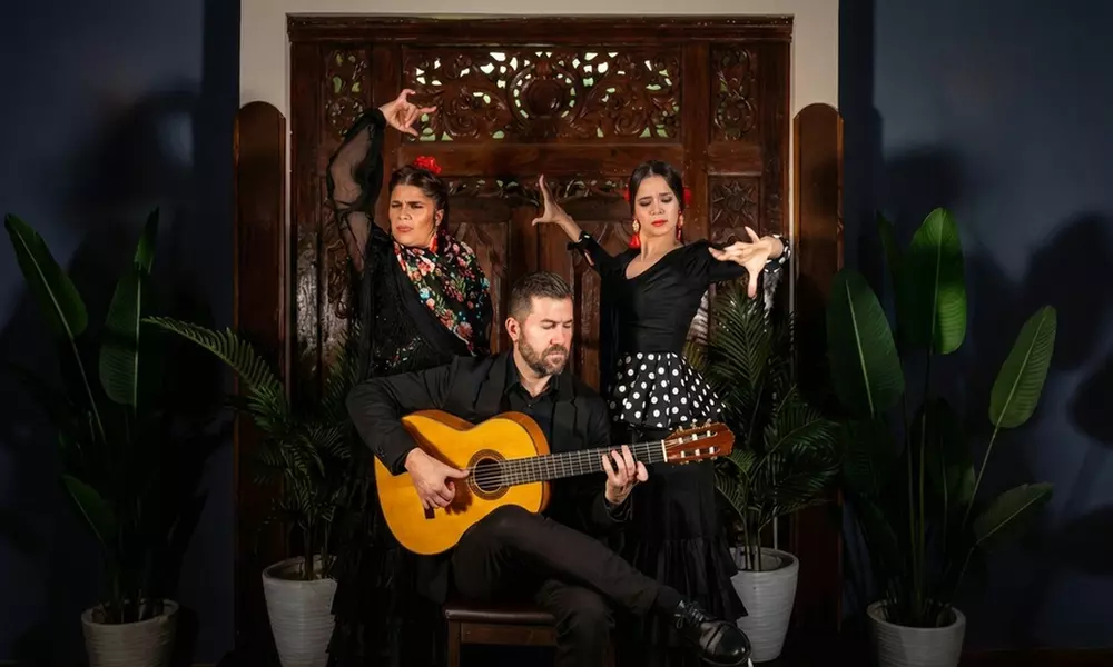 Entrada a espectáculo de flamenco con opción a bebida para 1 persona