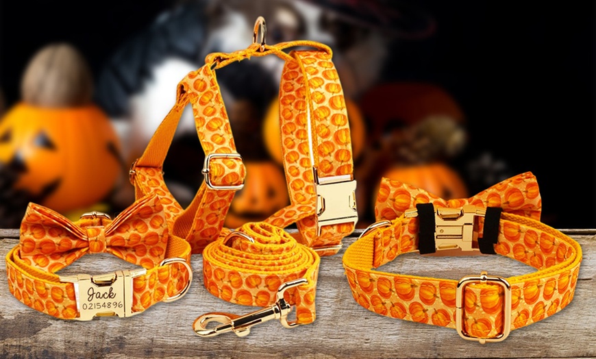 Image 4: Personalisierbares Haustier-Halsband im Halloween-Design