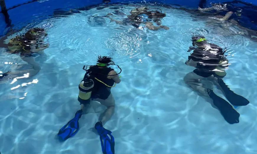 Image 5: Discover Scuba Dive for One or Two - Dive Into Adventure!