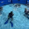 Image 5: Discover Scuba Dive for One or Two - Dive Into Adventure!