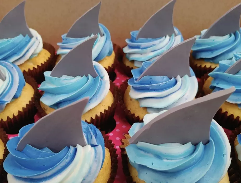 Half or One Dozen of Signature Cupcakes or $30 or 50 Voucher