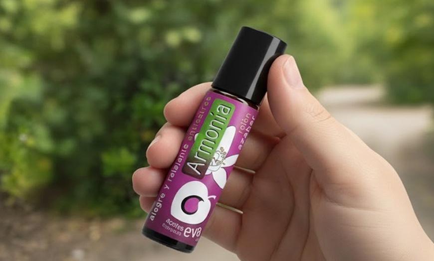 Image 8: Ruta guiada por el Valle del Azahar en flor con cata de vino y queso