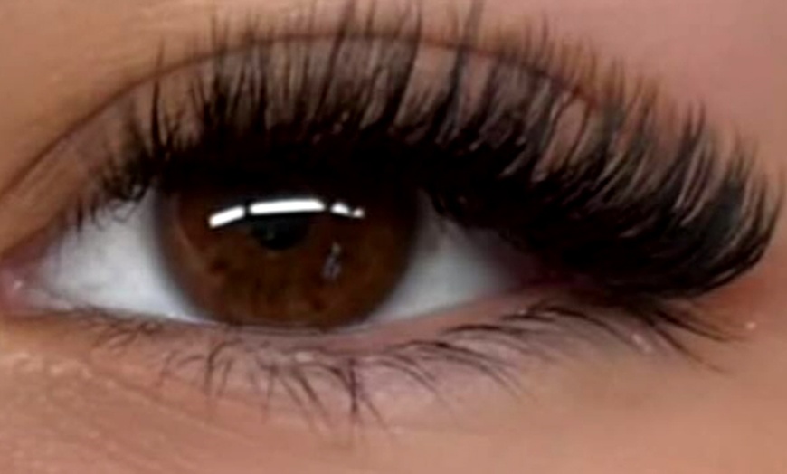 Image 7: Full Set of Classic / Hybrid or Wet Set / Volume Eyelash Extensions 