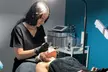 Enhance Your Skin with One, Two or Three Microneedling Treatment with PRP Facial at Dba IBeyond (Up to 60%Off) - Second Medium