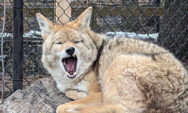 What to expect media