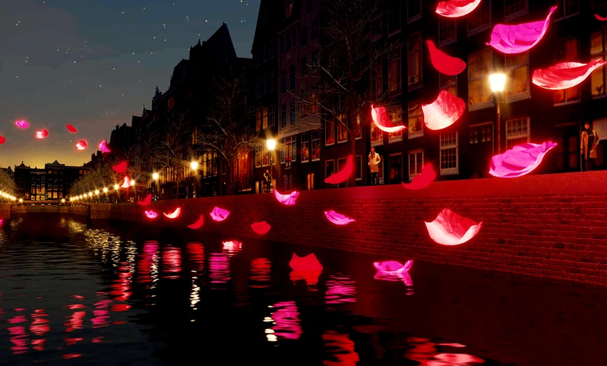 Image 1: Bewonder het Amsterdam Light Festival vanaf een privéboot
