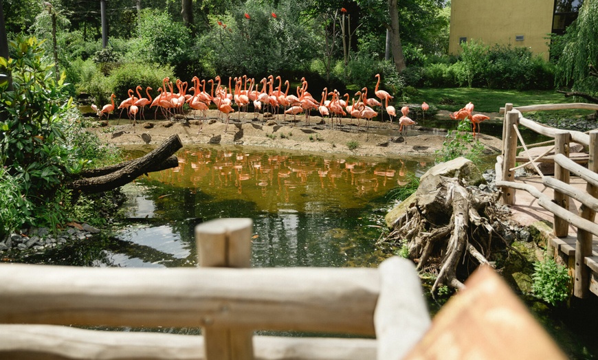 Image 3: Tageskarte für 1 Erwachsenen im Zoo Dresden im Januar oder Februar '26