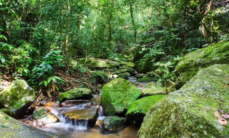 Image 6: ✈ 9-Day Guided Tour of Brazil with Air from Great Value Vacations