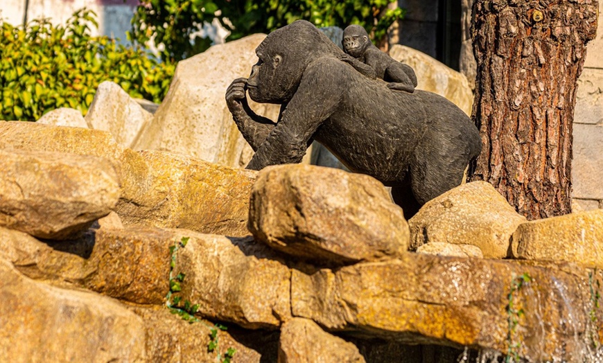Image 5: Acceso a beach club con música y consumición para 1, 2 o 4 personas
