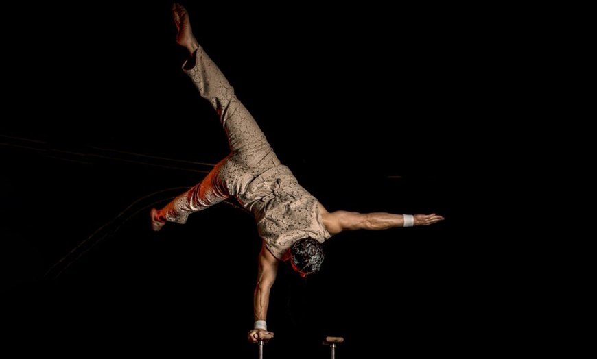 Image 5: Circo "Terra": entrada para niño o adulto del 5 al 20 de diciembre