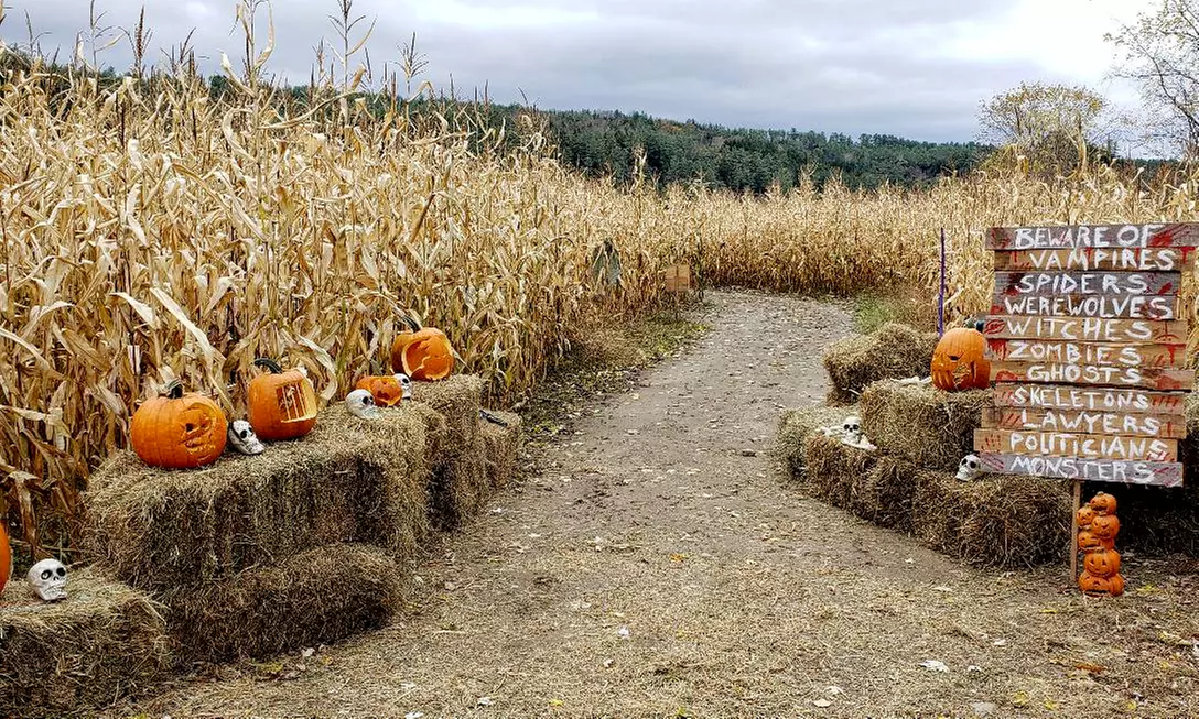 1, 2 or 4 Tickets for Corn, Flashlight, Mazes or Outdoor Escape Room