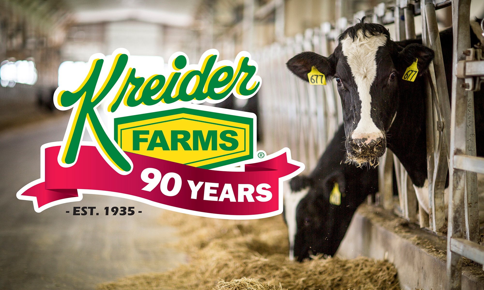 Relish the Unique Farm Tour Experience for Four or Eight (Any Age)