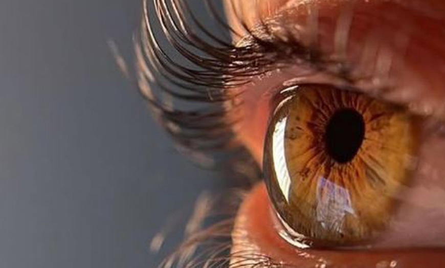 Image 2: Lash- und/oder Browlifting inkl. Farbe für 1 Person