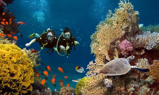 What to expect media