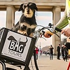 Image 2: 3-3,5-stündige Bike- oder E-Bike-Tour in Berlin für 4 oder 6 Personen