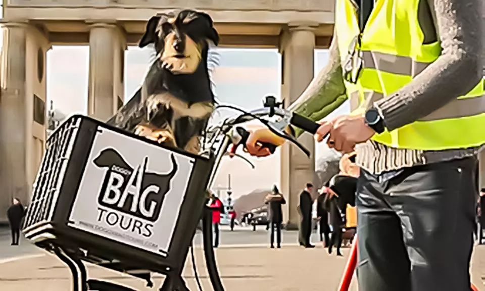 3-3,5-stündige Bike- oder E-Bike-Tour in Berlin für 4 oder 6 Personen (bis zu 34% sparen) - Primary Image